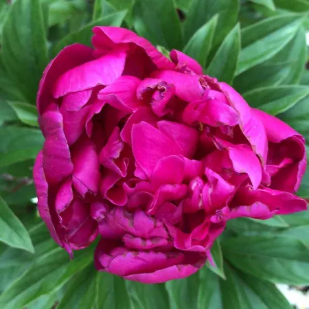 Villa Casa Della Gioia Castelveccana