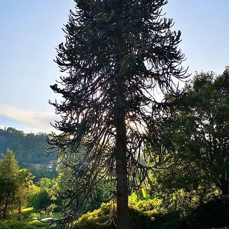 Casa Della Gioia Castelveccana