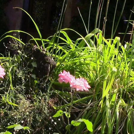 Villa Casa Della Gioia *