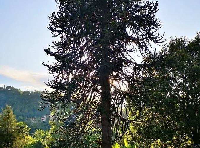 Casa Della Gioia 카스텔베카나