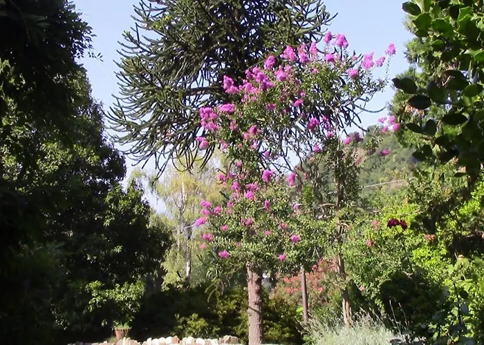 빌라 Casa Della Gioia 카스텔베카나