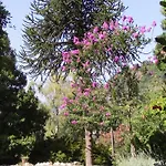 Вилла Casa Della Gioia Castelveccana