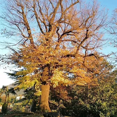 Βίλα Casa Della Gioia