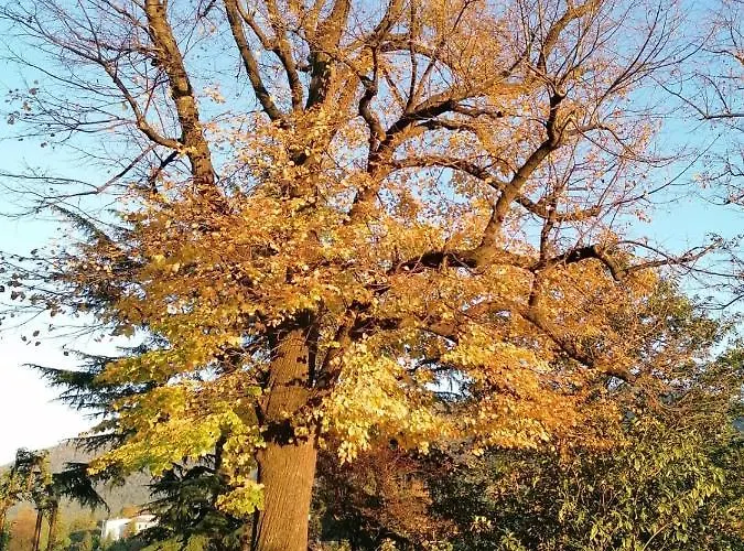 别墅 Casa Della Gioia