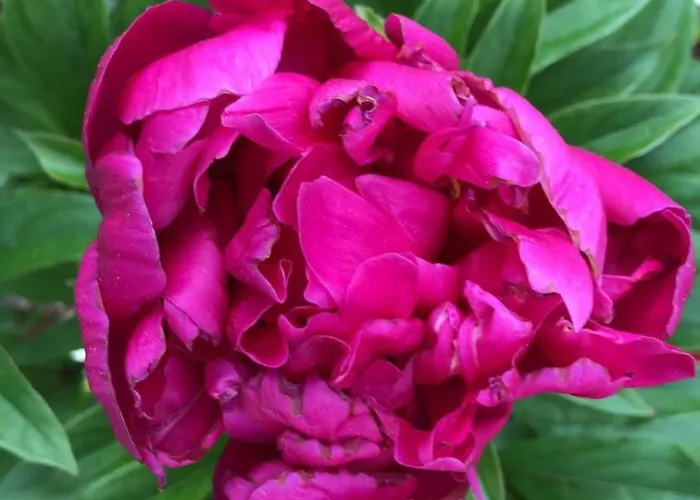 别墅 Casa Della Gioia Castelveccana