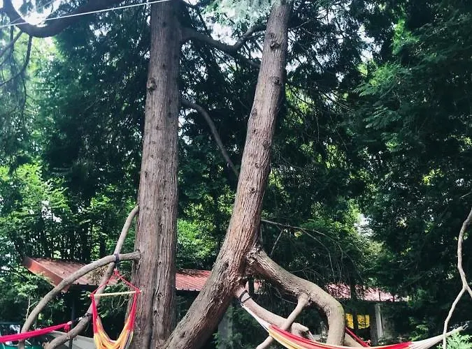 别墅 Casa Della Gioia