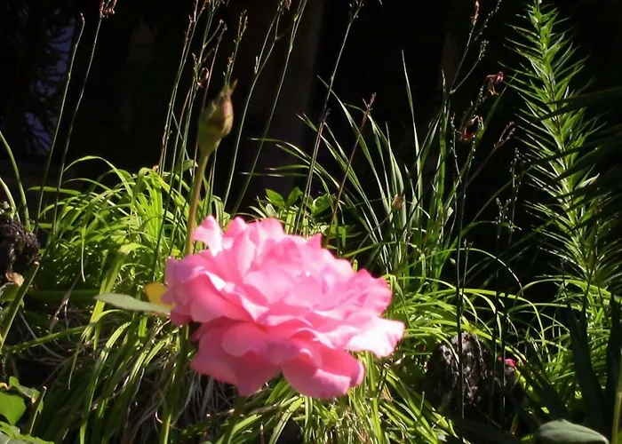 Casa Della Gioia 别墅 *