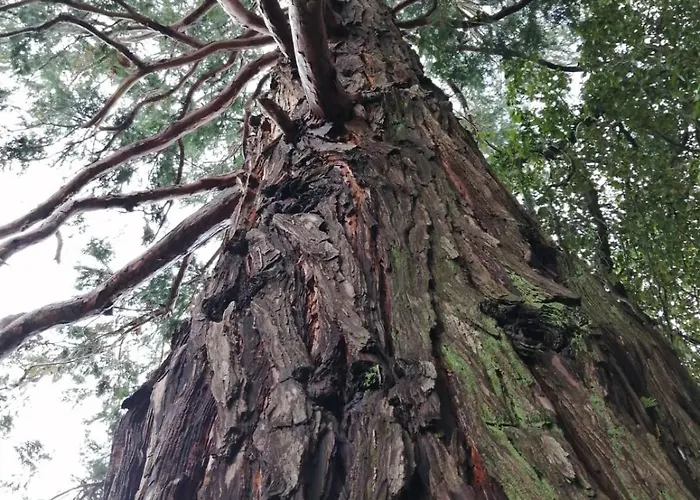 Casa Della Gioia Villa