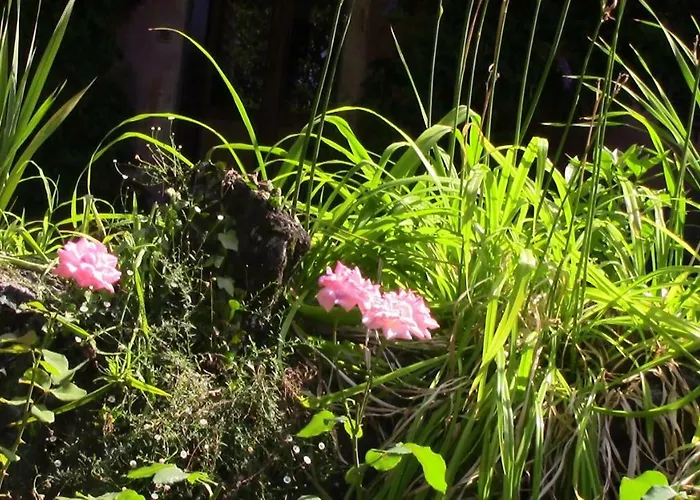 Villa Casa Della Gioia *